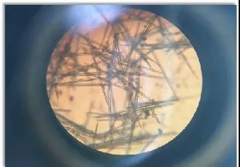 微信圖片_20210809085918